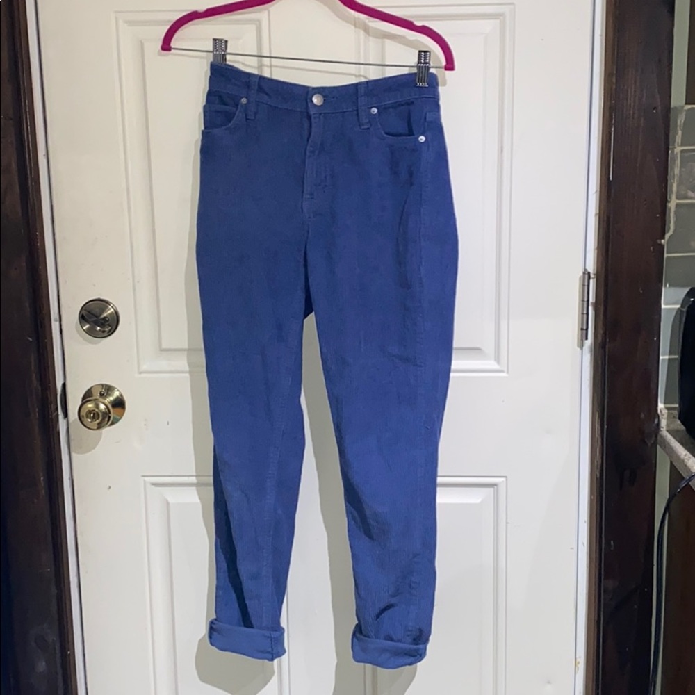 Blue Corduroy Pants BDG UO